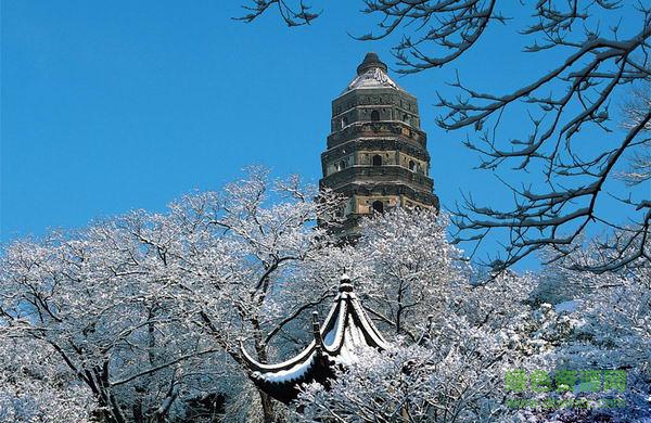 虎丘導游