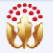 吉林省國富人參交易中心