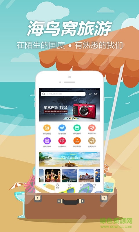 海鳥窩 v1.0 安卓版 0