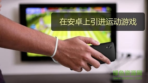 體感網(wǎng)球手機(jī)版 v1.14 安卓版 1