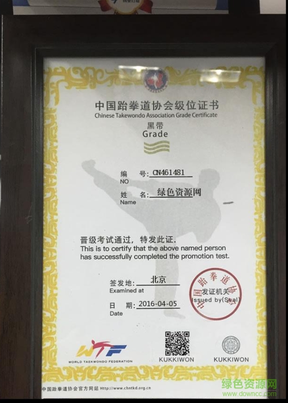 跆拳道黑帶證書(shū)圖片生成器  0
