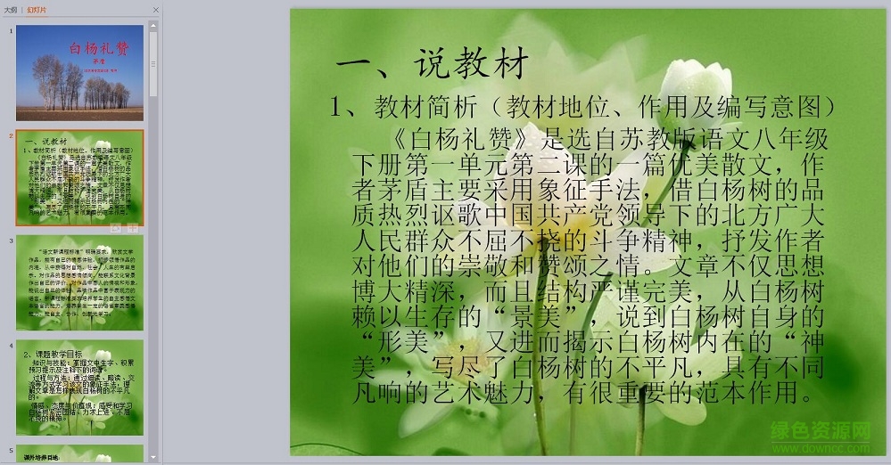 白楊禮贊ppt課件 免費版 0