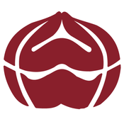 文玩部落論壇app