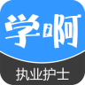 執(zhí)業(yè)護(hù)士考試軟件