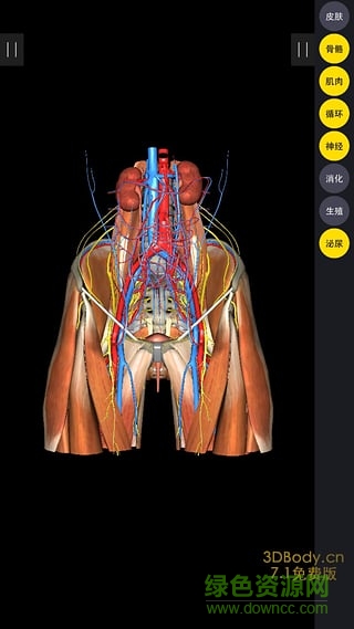 3DBody修改版最新解鎖vip v8.2.6 安卓版 0