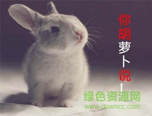 萌寵表情包