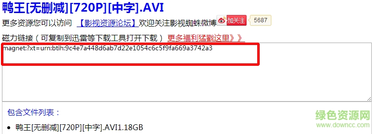 影視蜘蛛