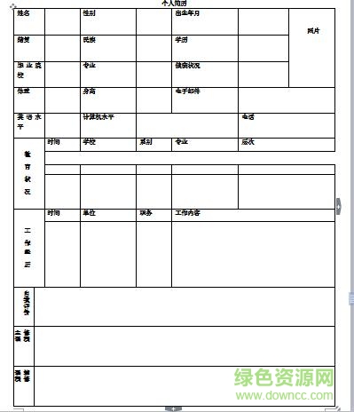標(biāo)準(zhǔn)個人簡歷模板