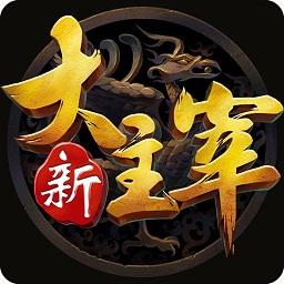 新大主宰最佳輔助器