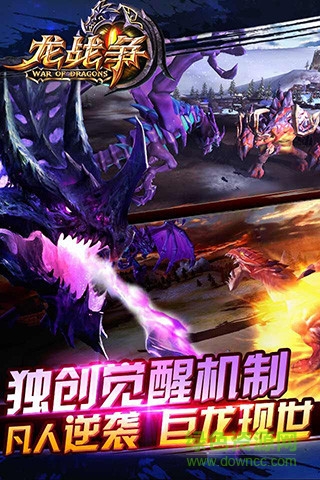 龍戰(zhàn)爭手游九游版 v1.3.0 安卓版 3