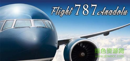 模擬飛行787中文版(flight787) v1.8 安卓漢化版 4