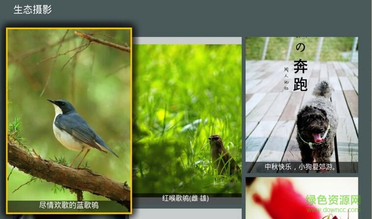 攝影聚集tv版(音樂照片) v1.6 安卓電視版 2