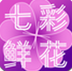 七彩鮮花