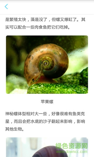 養(yǎng)魚達人(養(yǎng)魚知識) v1.0 安卓版 3