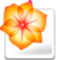 adobe illustrator cs2 綠色版