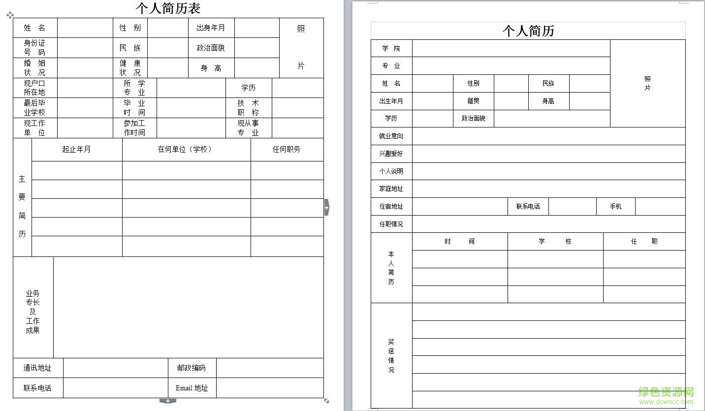 標(biāo)準(zhǔn)個人簡歷模板表格  0