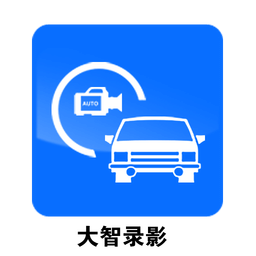 大智路影app