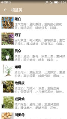 中草藥寶典 v1.1 安卓版 1