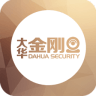 大華金剛眼視頻監(jiān)控系統(tǒng)