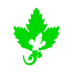爬山虎tv客戶端apk