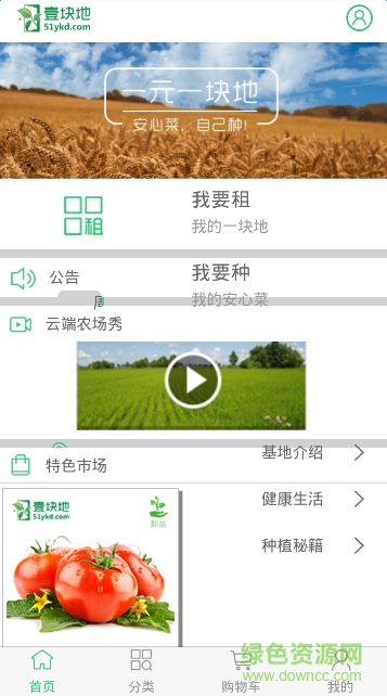 一塊地51YKD(租地種菜)3