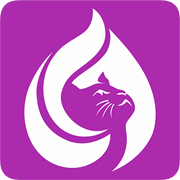 俏皮貓(美容電商服務(wù))