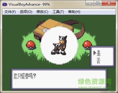 口袋妖怪綠寶石精靈學(xué)院0