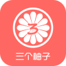 三個柚子嬰兒推車