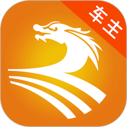 龍速車主