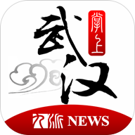 掌上武漢app電視問政投票平臺