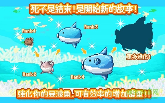 活下去曼波魚(曼波魚) v2.5.3 安卓版 1