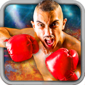 拳擊游戲2016手機(jī)版(play boxing2016)