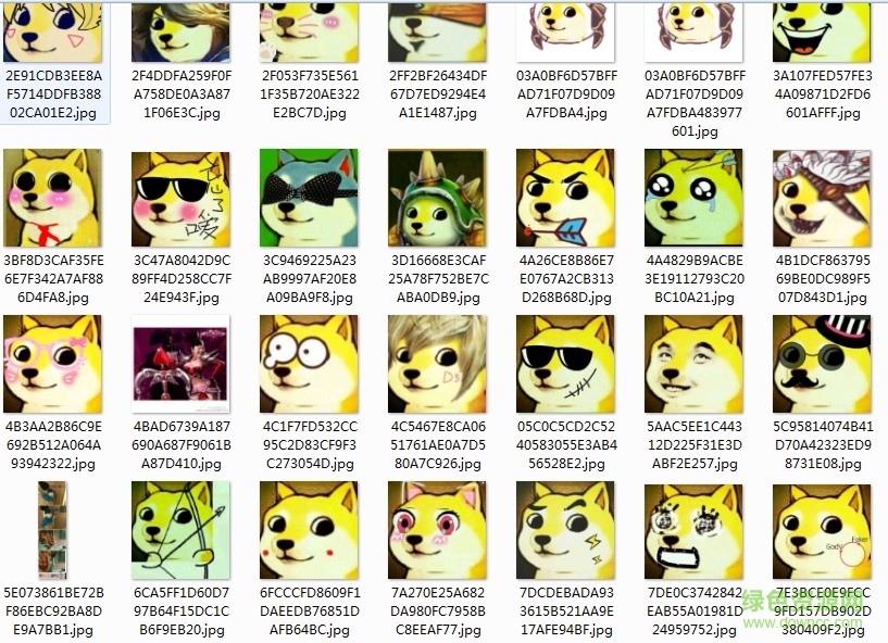 doge狗頭像0