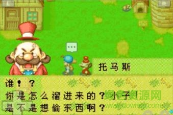 牧場(chǎng)物語(yǔ)礦石鎮(zhèn)的伙伴們apk v2.0 安卓無(wú)限積分版 1