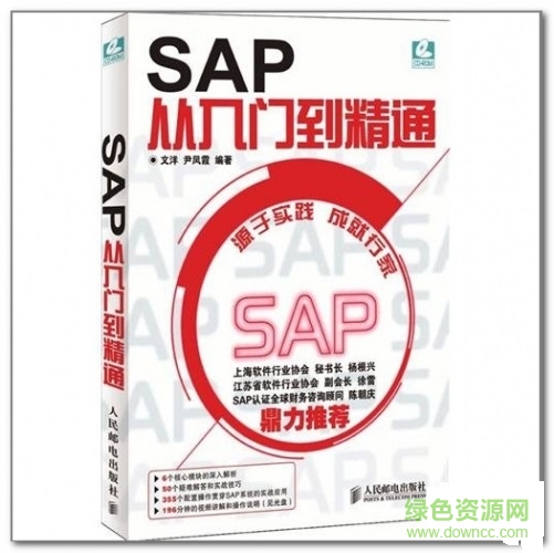 sap從入門到精通 pdf高清掃描版 0