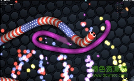 蛇蛇大作戰(zhàn)手機(jī)版修改(slither.io)1