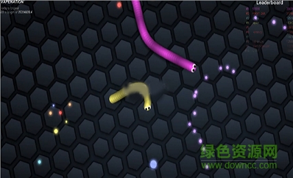 蛇蛇大作戰(zhàn)手機(jī)版修改(slither.io)2