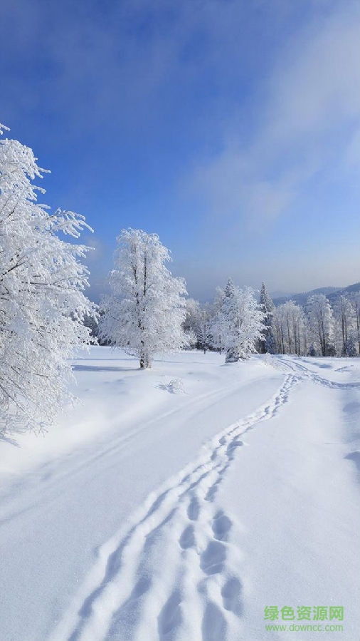 趣滑雪