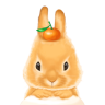 云搬家app