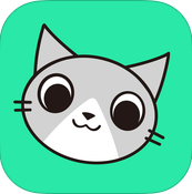 猛龍出行