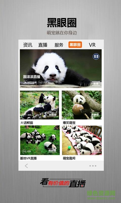 四川電視臺金熊貓app蘋果版 v2.0.2 iPhone手機版 2