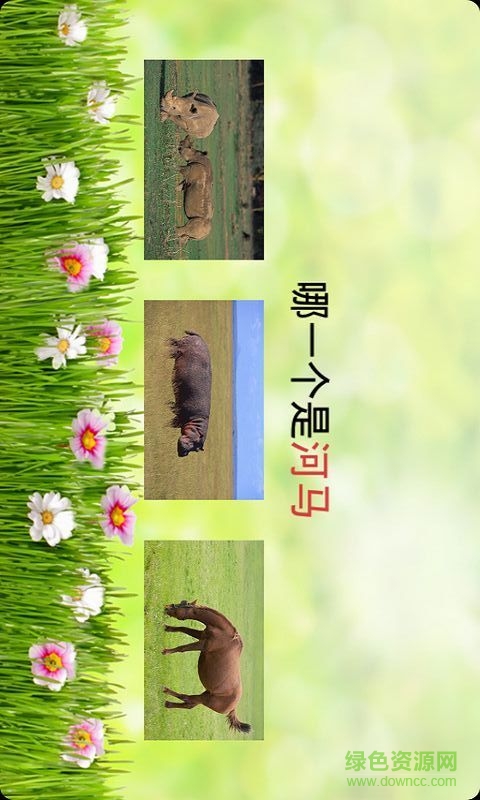 寶寶學(xué)識動(dòng)物app下載