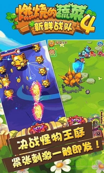 燃燒的蔬菜4新鮮戰(zhàn)隊修改版下載