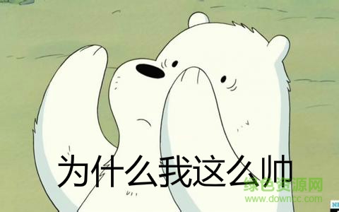 咱們裸熊qq表情包  0
