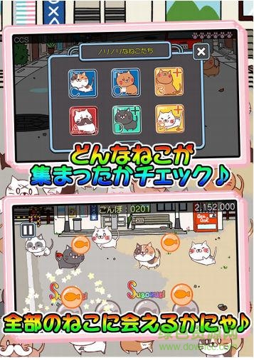 萌貓節(jié)奏手機游戲 v1.0 安卓版 0