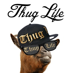 黑墨鏡金鏈子叼煙p圖軟件(Thug life photo sticker maker)