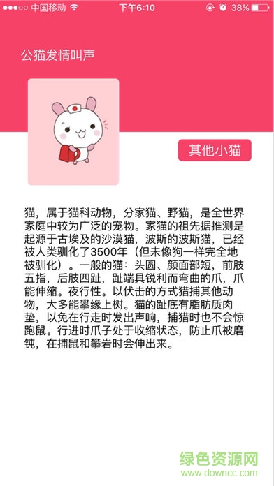 玩否蘋果手機版1