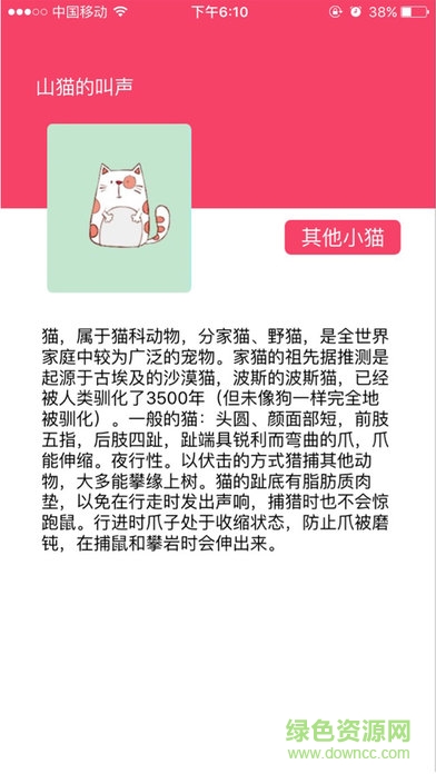 玩否蘋果手機版0