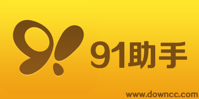 91助手