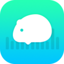 豚鼠體感手環(huán)